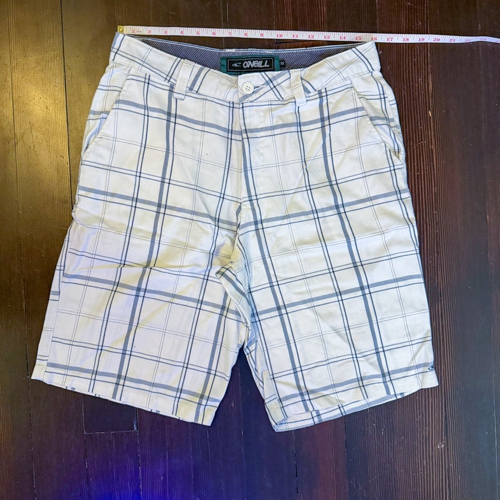 O'Neill Men's Plaid Shorts in White and Blue